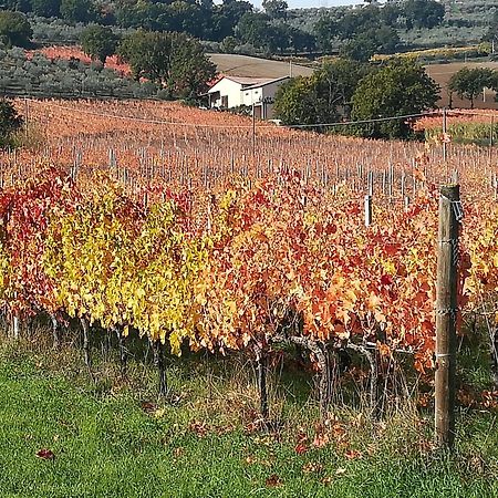 Appartamento Antico Gioiello Umbro Foligno Esterno foto