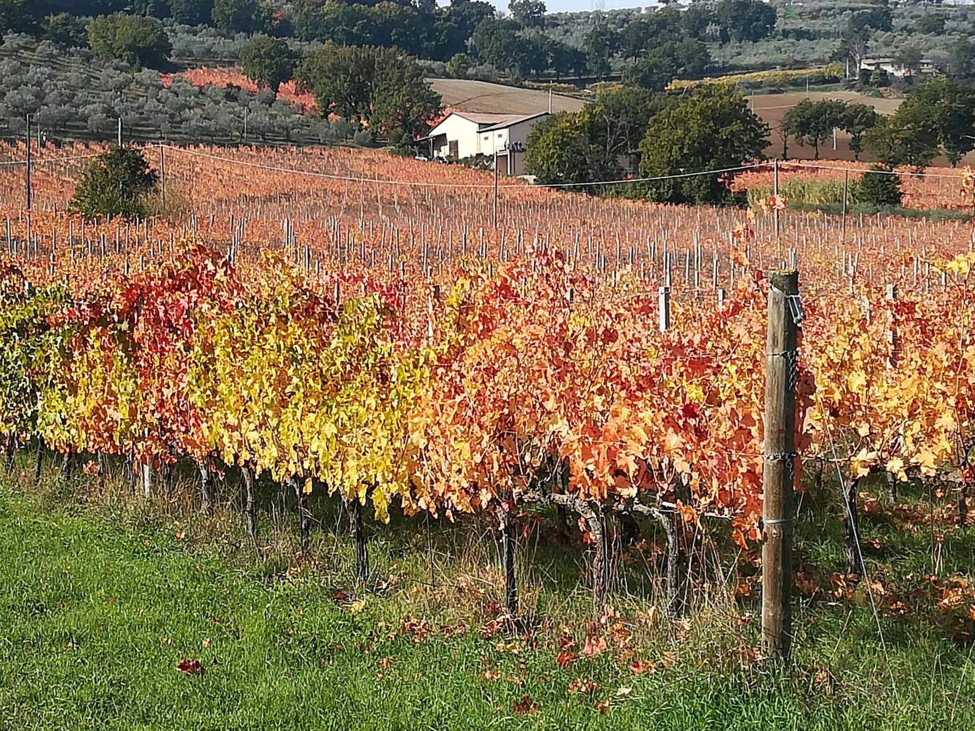 Appartamento Antico Gioiello Umbro Foligno Esterno foto